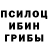 Галлюциногенные грибы GOLDEN TEACHER Tribalismsucks