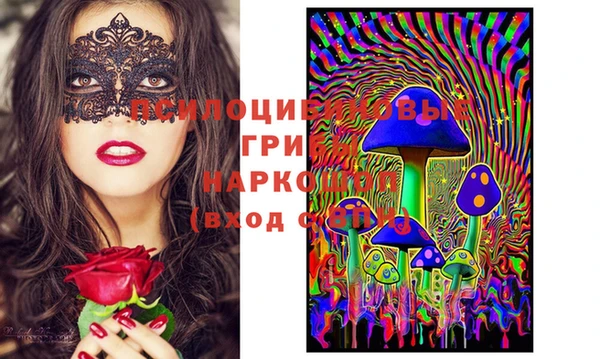 стаф Алексеевка