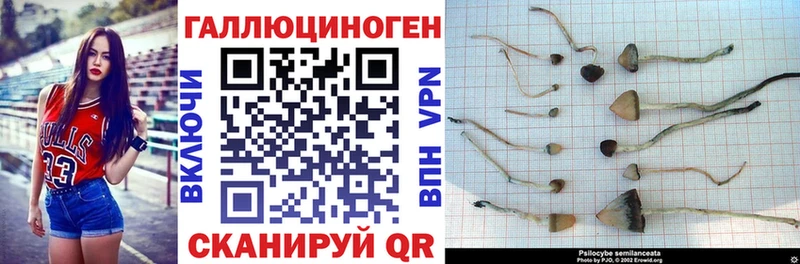 Галлюциногенные грибы мицелий  мега ССЫЛКА  Усть-Илимск 
